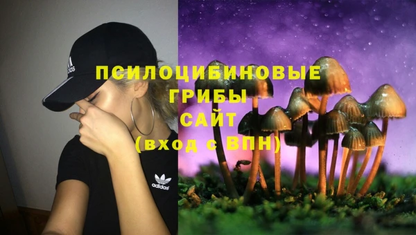 молекула духа Володарск