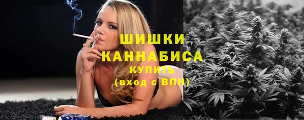 амф Верея