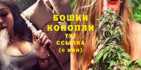 амф Верея